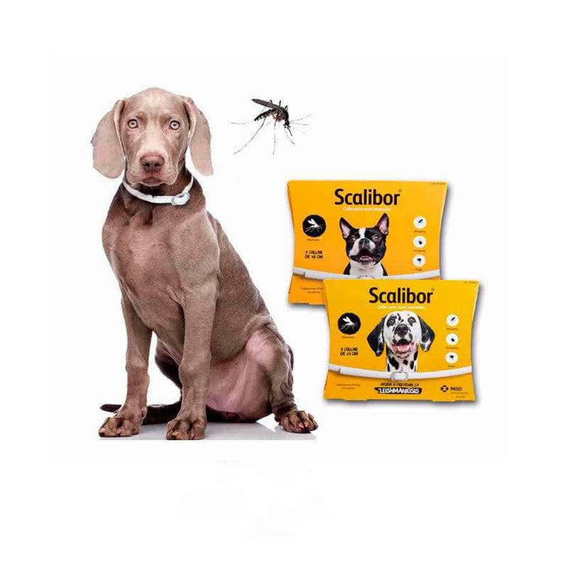 🐶 Collare Antiparassitario per Cani e Gatti – Protezione contro Pulci, Zecche e Parassiti