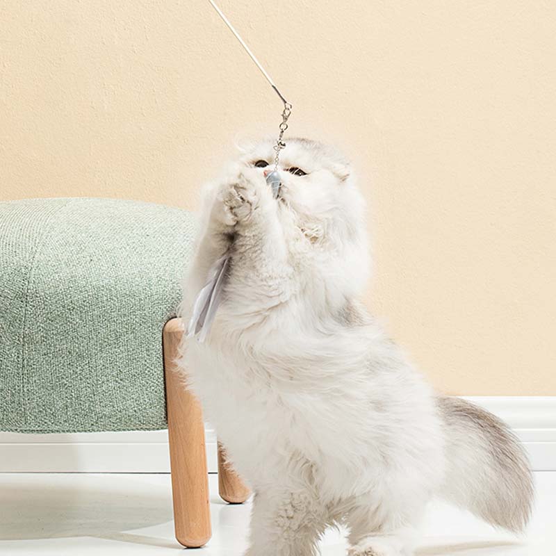 🐱 Set Giocattoli Interattivi per Gatti – Laser + Bacchetta con Piuma Estensibile