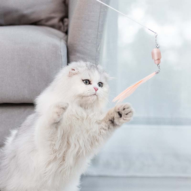 🐱 Set Giocattoli Interattivi per Gatti – Laser + Bacchetta con Piuma Estensibile