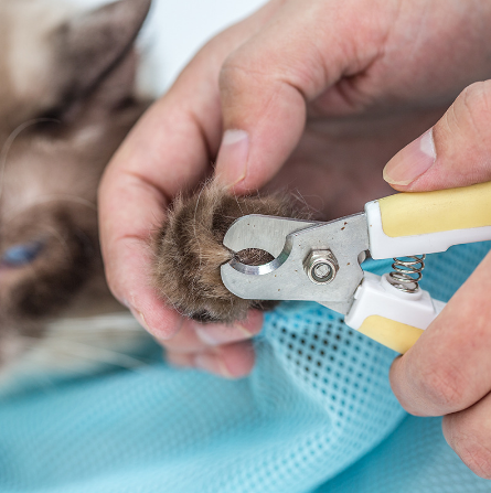 🐱 Sacco rete multifunzione per bagno, lavaggio e taglio unghie gatto