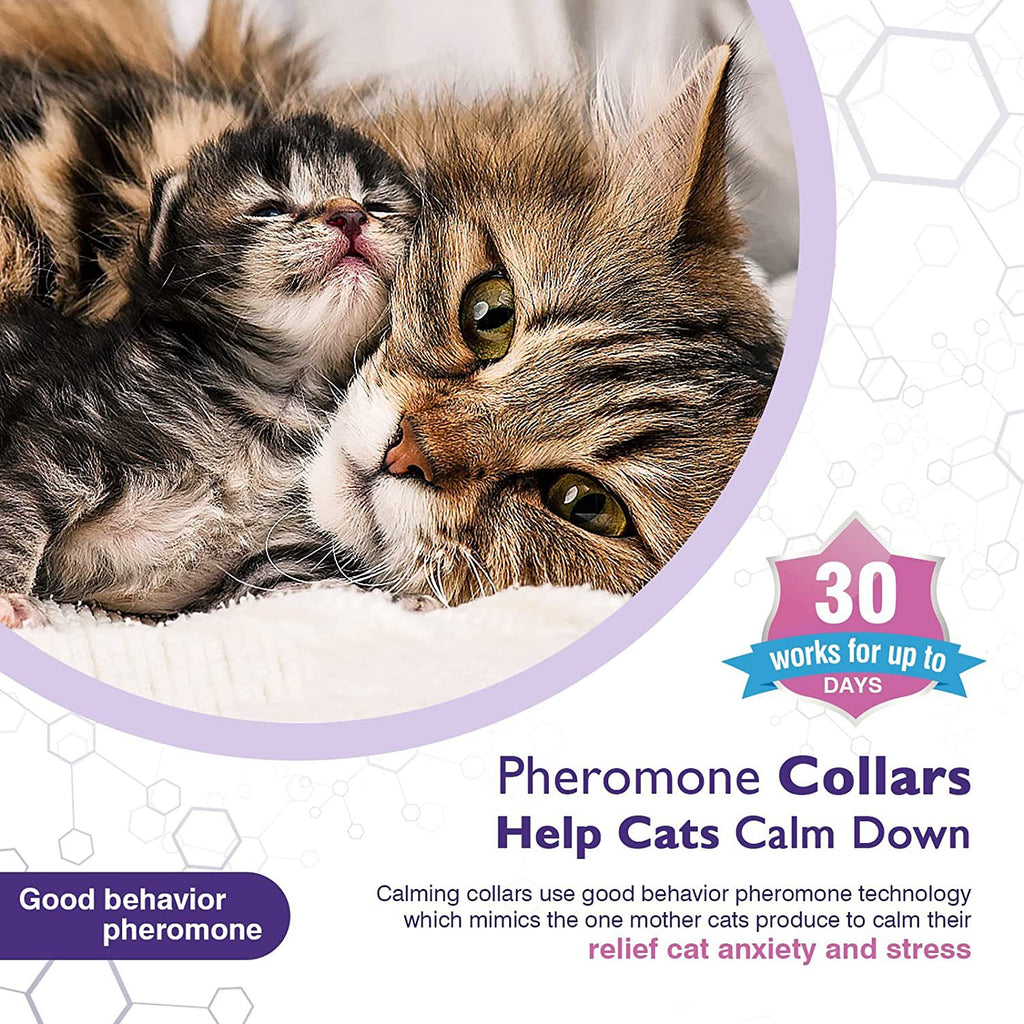 🐱 Collare Calmante per Gatti – Anti Stress e Ansia, Effetto Rilassante Naturale