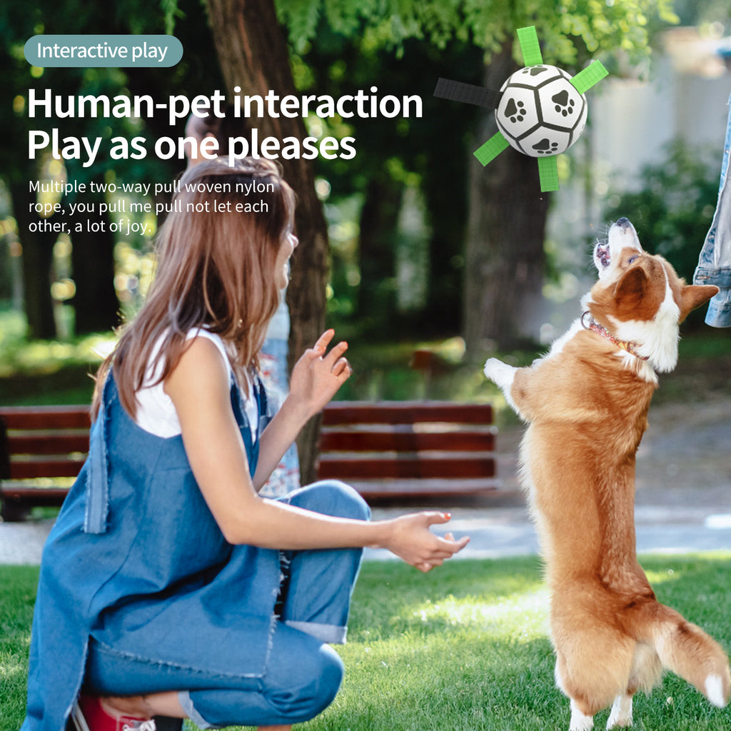 🐶 Pallone interattivo per cani – gioco resistente per addestramento e divertimento