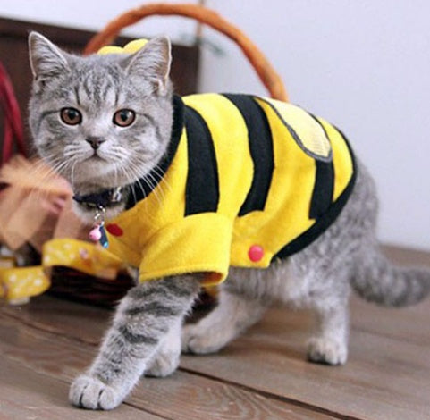 🐶🐱 Costume ape per cane e gatto – vestitino caldo e morbido in pile