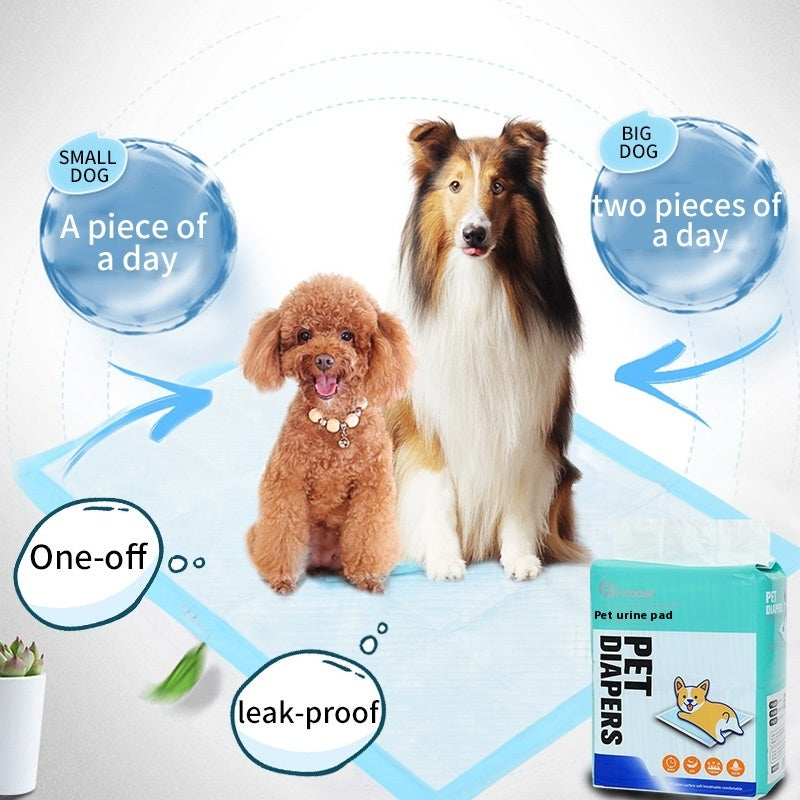 🐾 Tappetini Assorbenti per Cani – Ultra Assorbenti, Anti-Odore e Anti-Perdita
