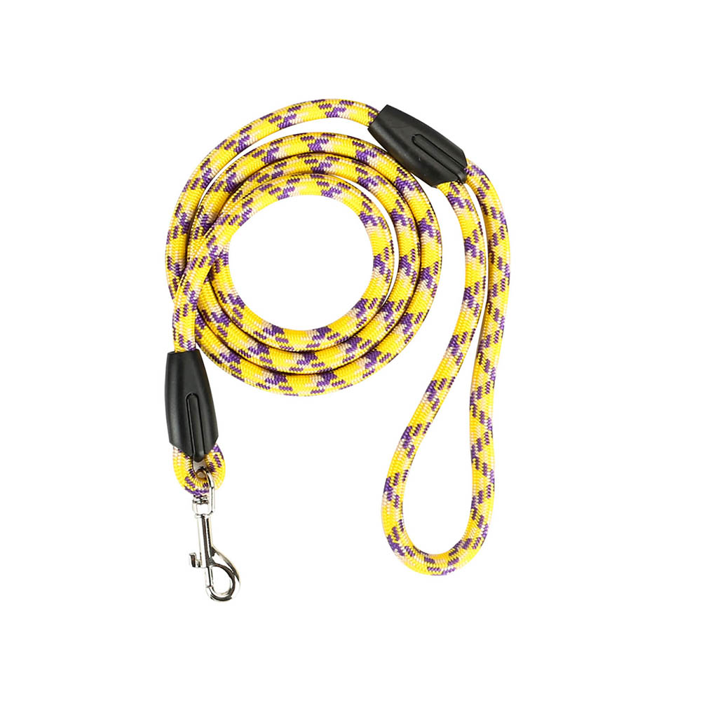 🐶 Guinzaglio colorato per cani di piccola e media taglia – nylon resistente