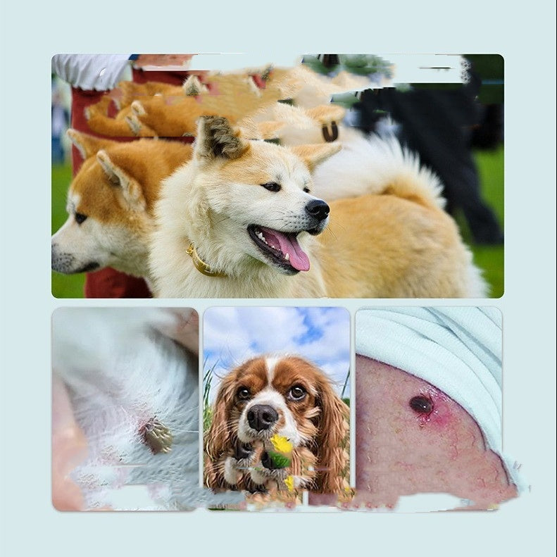 🐶 Collare Antiparassitario per Cani e Gatti – Protezione contro Pulci, Zecche e Parassiti