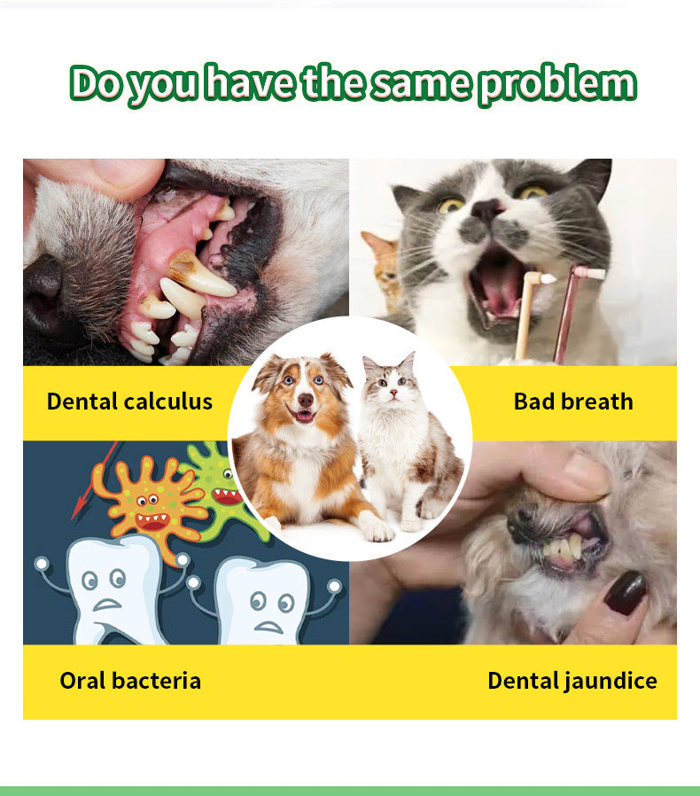 🐶🐱 Polvere dentale per cani e gatti – contro tartaro e alito cattivo