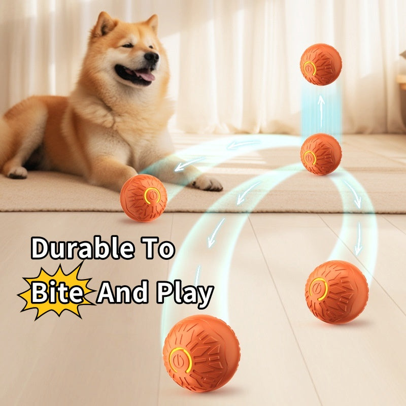⚡ Palla automatica luminosa per cani – gioco interattivo ricaricabile