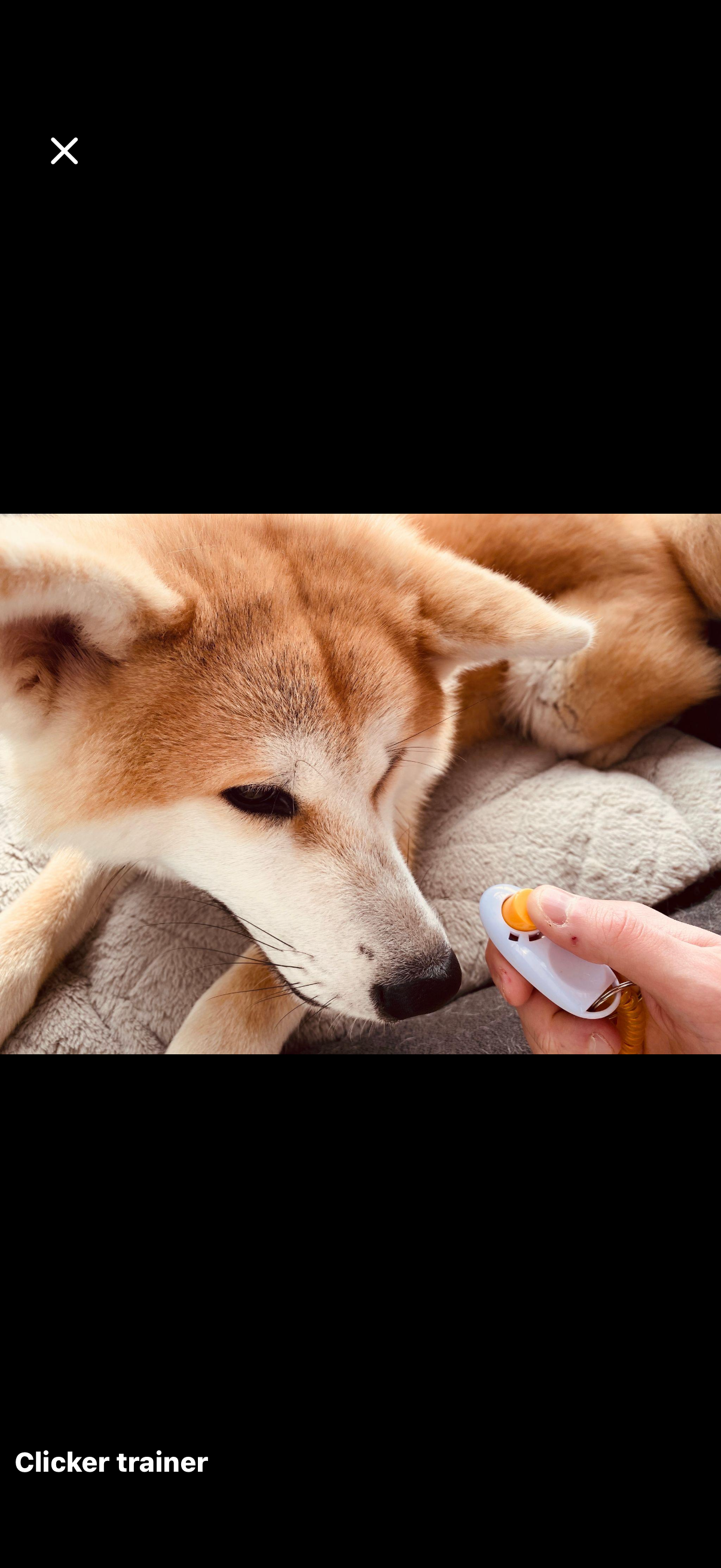 Clicker per Addestramento Cani – Training Professionale con Cordino 🐶🎯