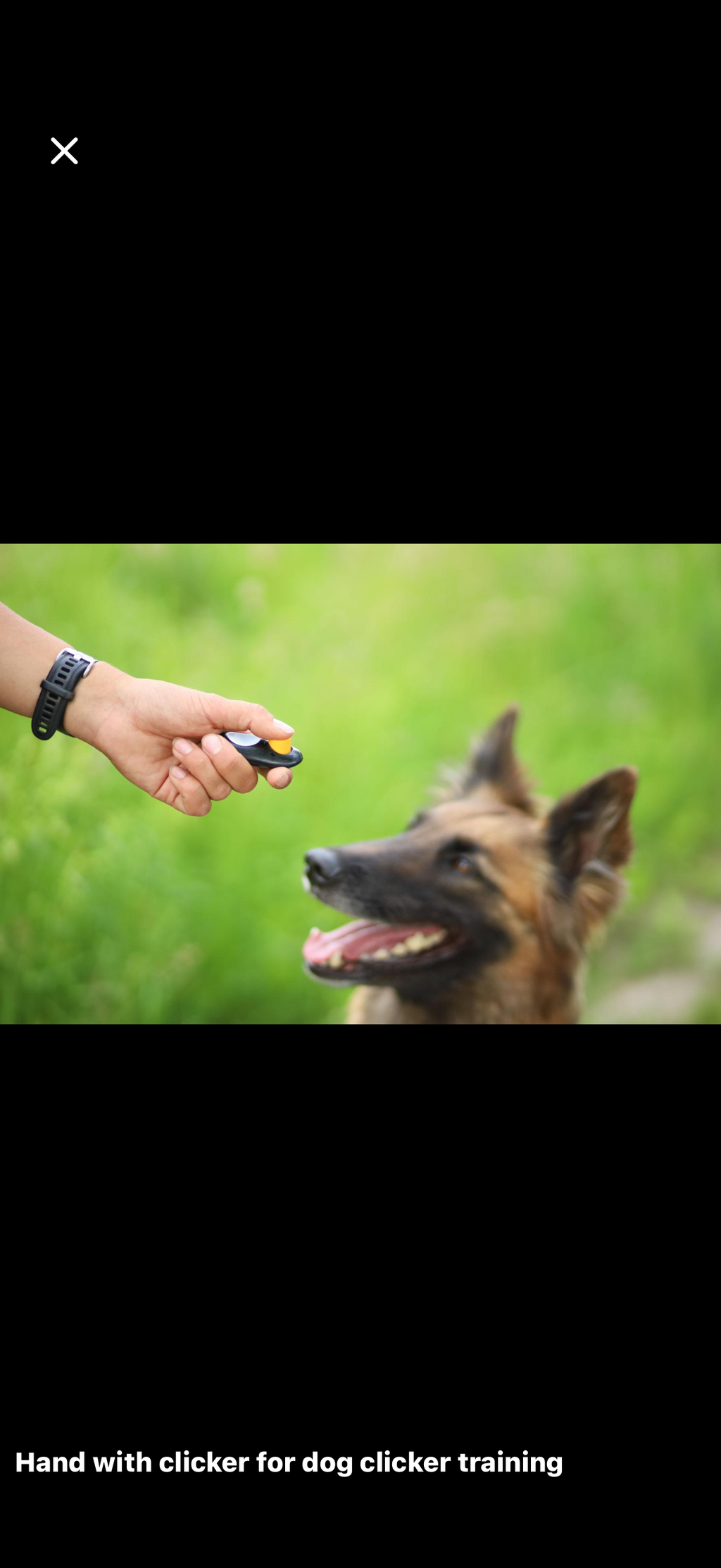 Clicker per Addestramento Cani – Training Professionale con Cordino 🐶🎯