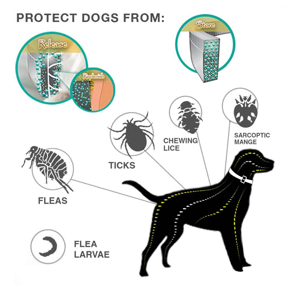 🛡️ Collare antipulci e antizecche impermeabile regolabile per cani