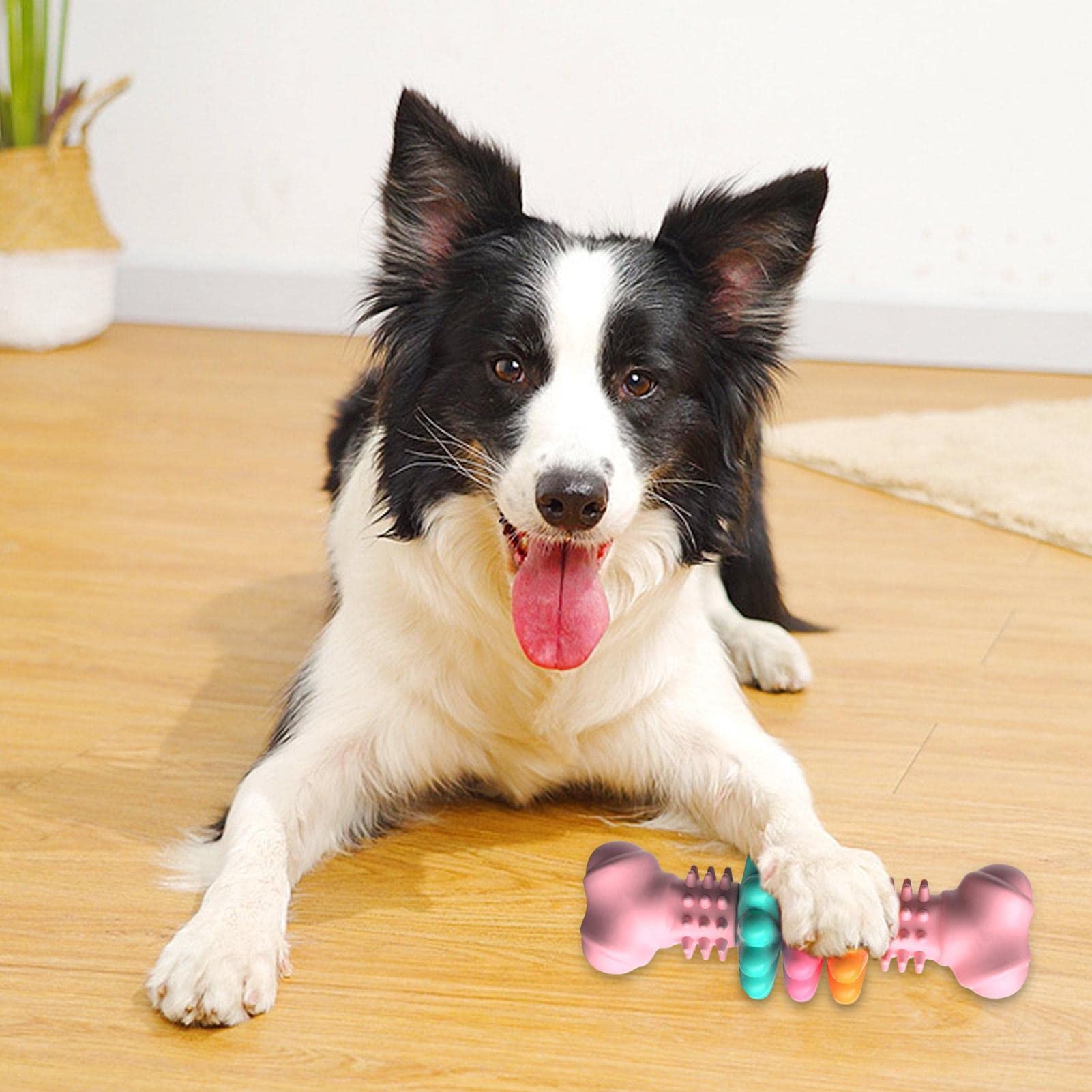 🐶 Giocattolo da masticare per cani – osso resistente per pulizia denti