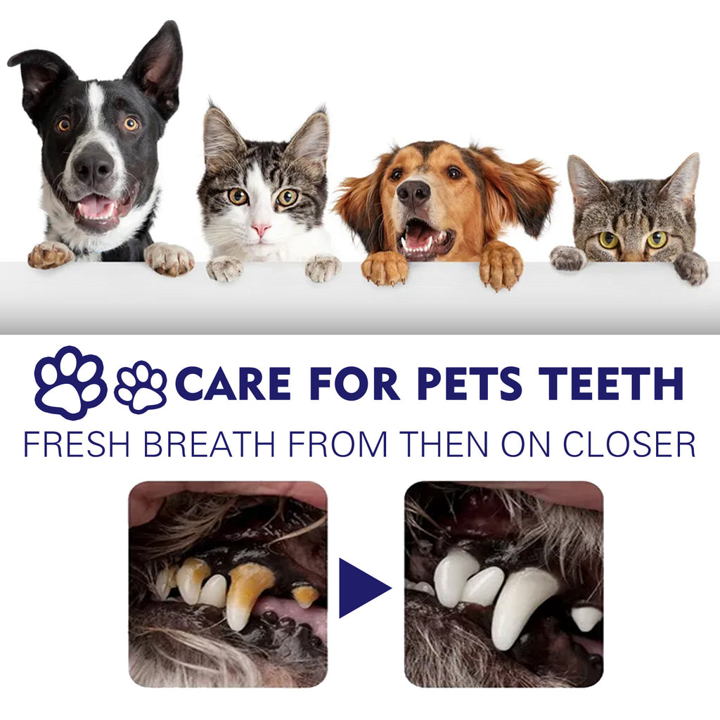 🐶🐱 Dentifricio per cani e gatti – contro alito cattivo e placca