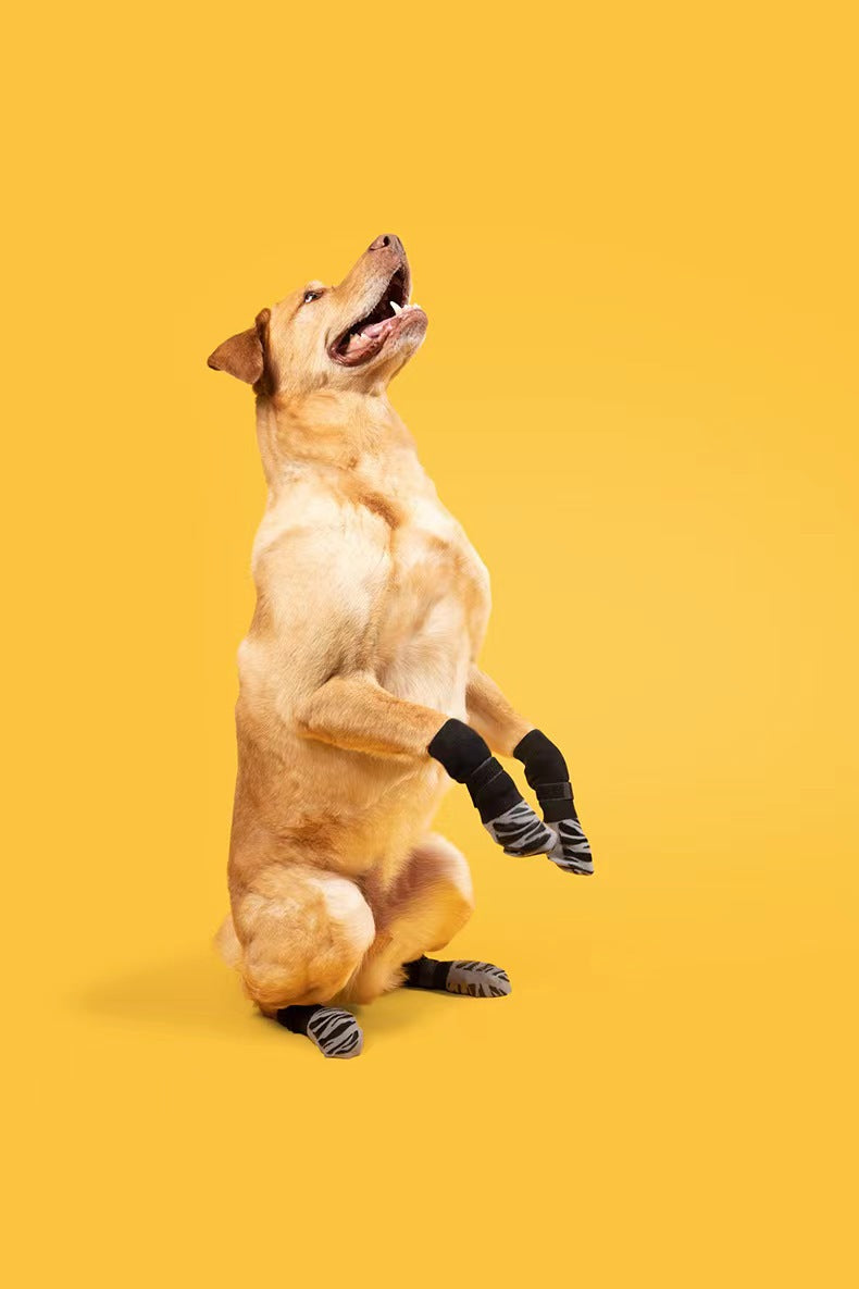🧦 Calzini impermeabili antiscivolo per cani e gatti – protezione zampe