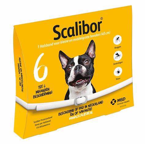 🐶 Collare Antiparassitario per Cani e Gatti – Protezione contro Pulci, Zecche e Parassiti