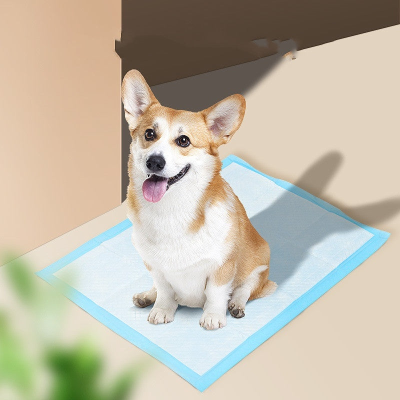 🐾 Tappetini Assorbenti per Cani – Ultra Assorbenti, Anti-Odore e Anti-Perdita