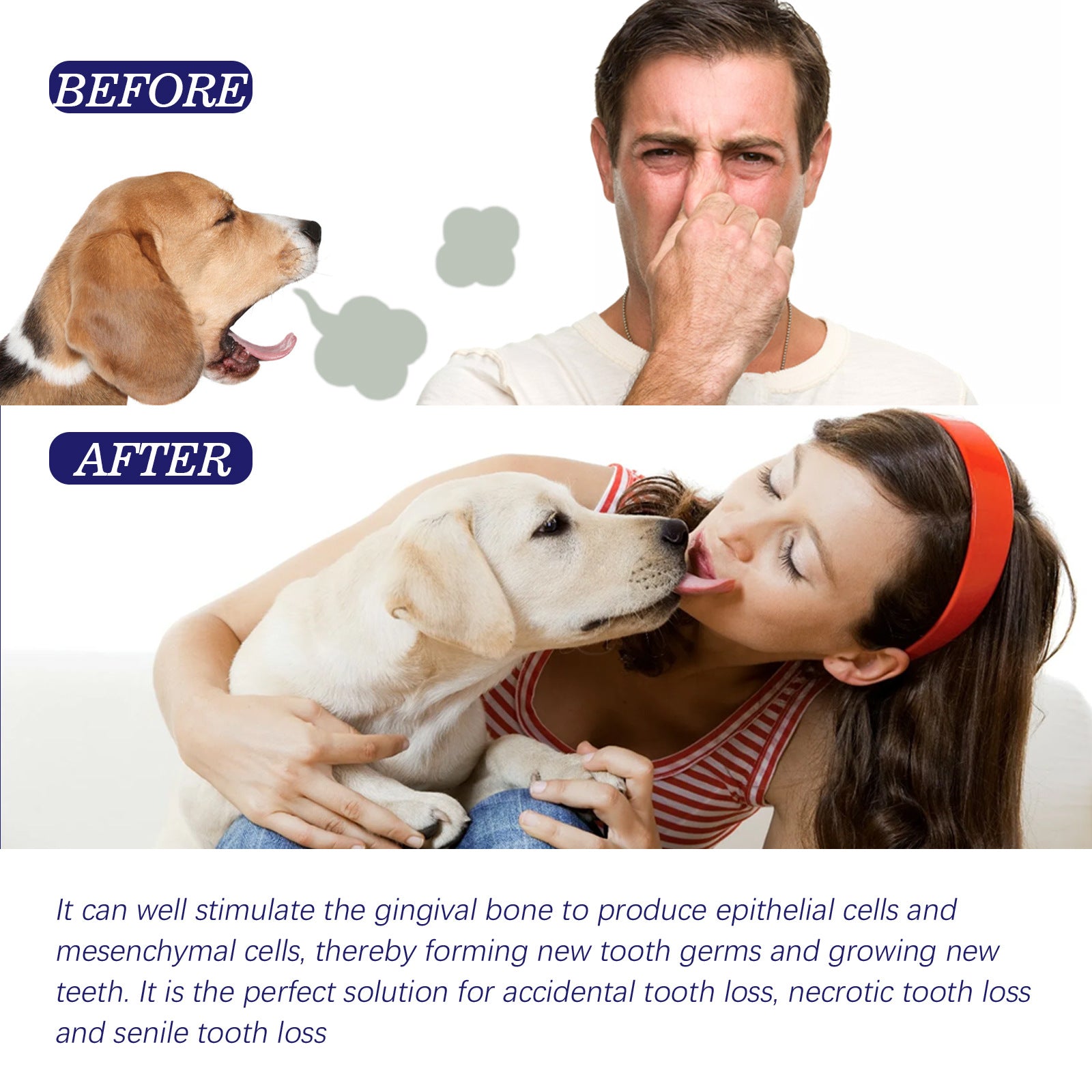 🐶🐱 Dentifricio per cani e gatti – contro alito cattivo e placca
