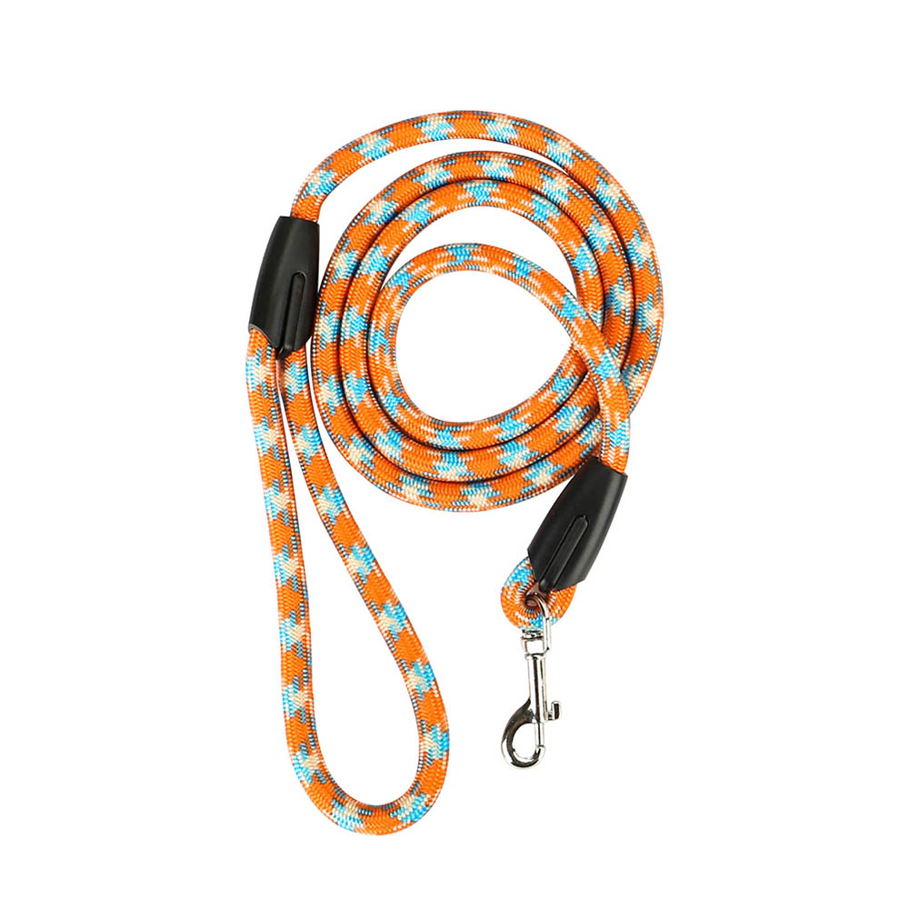 🐶 Guinzaglio colorato per cani di piccola e media taglia – nylon resistente