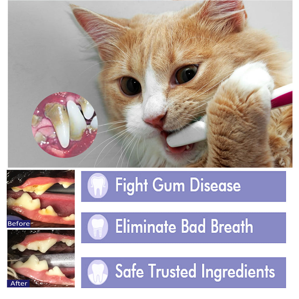 🐶🐱 Dentifricio per cani e gatti – contro alito cattivo e placca