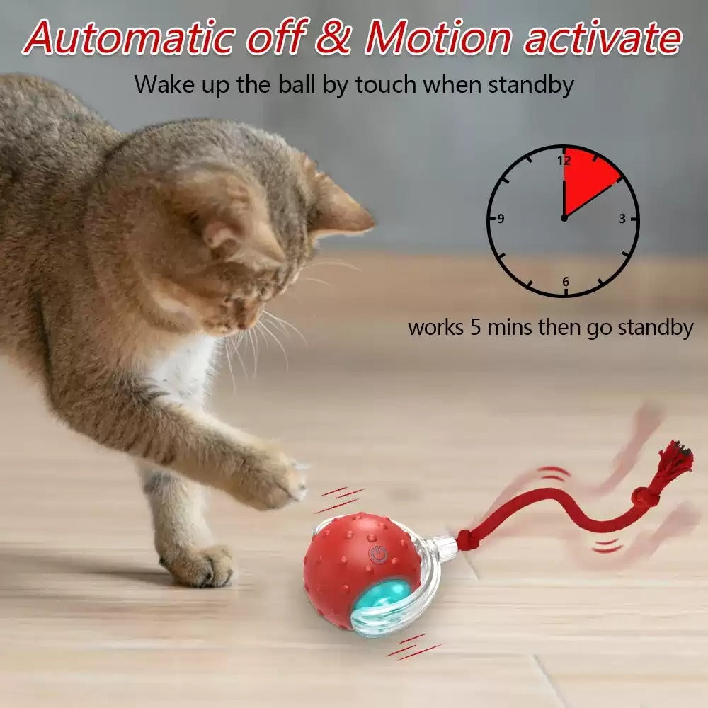 🐱 Palla Giocattolo Interattiva per Gatti – Pallina Automatica Rotolante Anti Noia