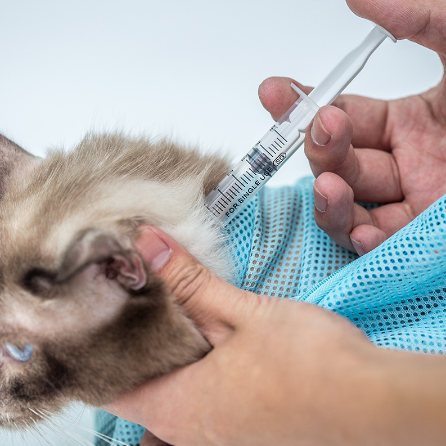 🐱 Sacco rete multifunzione per bagno, lavaggio e taglio unghie gatto