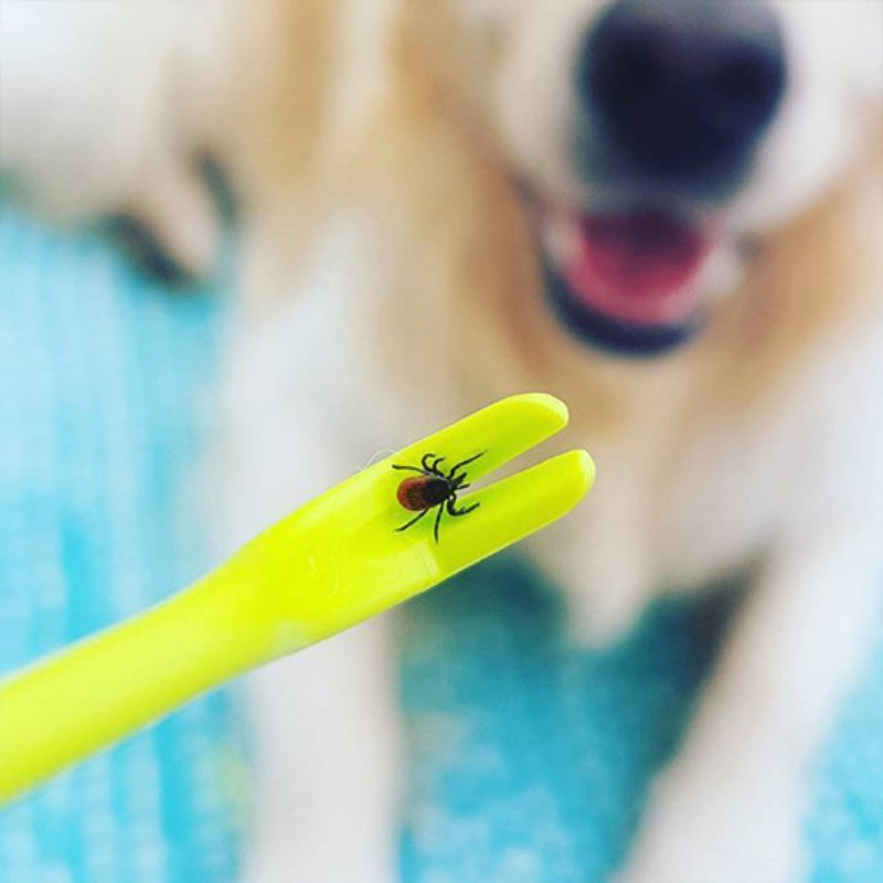 🦠 Rimuovi zecche per animali domestici – set 3 pezzi facile e sicuro