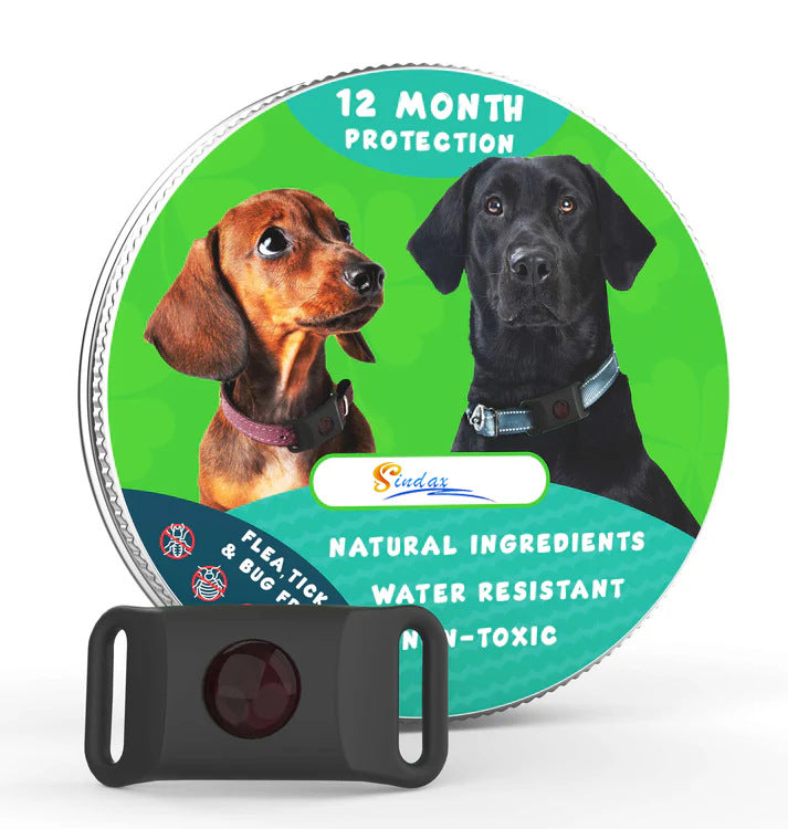 🐶 Collare Antiparassitario per Cani e Gatti – Protezione contro Pulci, Zecche e Parassiti