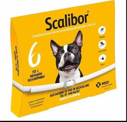 🐶 Collare Antiparassitario per Cani e Gatti – Protezione contro Pulci, Zecche e Parassiti