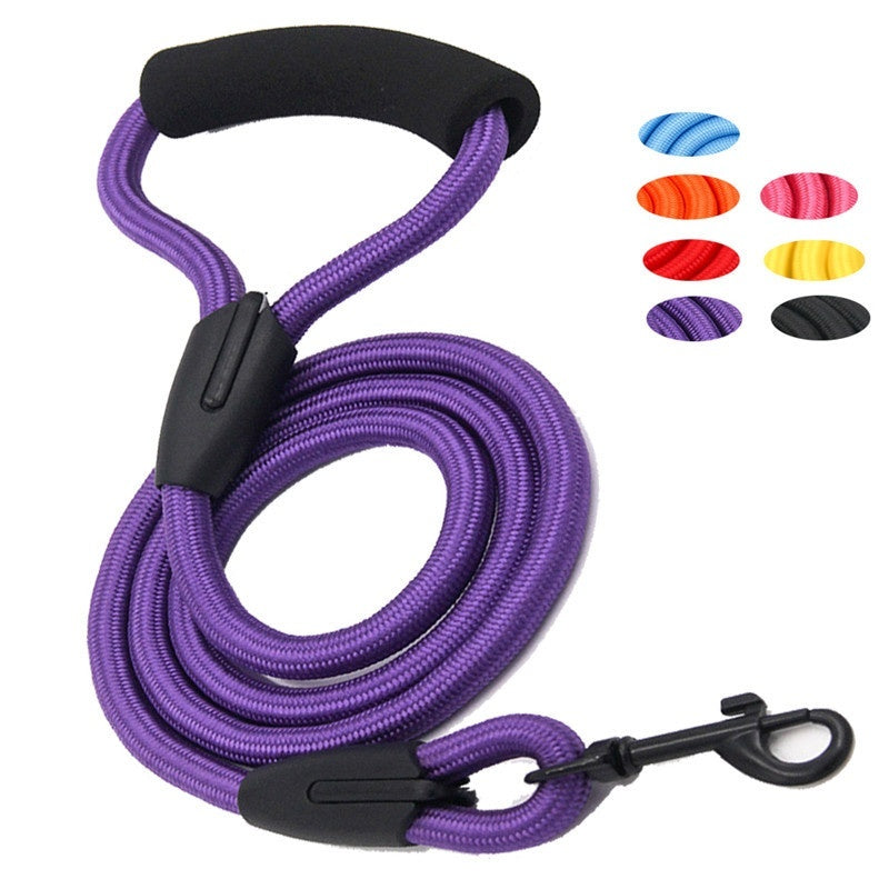 🐕 Guinzaglio per cani anti-strappo con ammortizzatore – resistente e sicuro