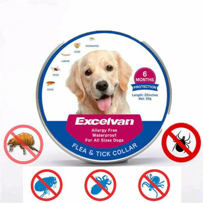 🛡️ Collare antipulci e antizecche impermeabile regolabile per cani