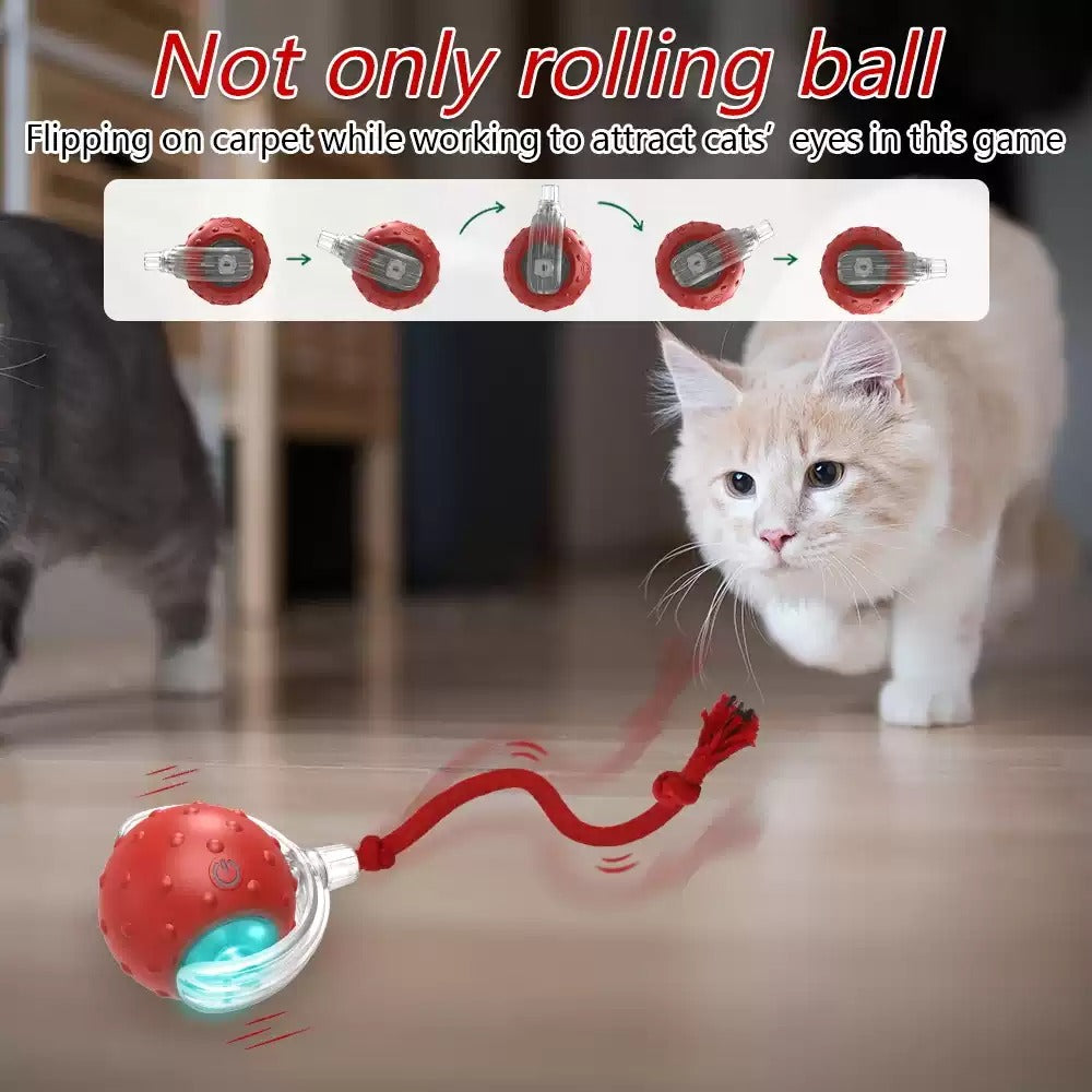 🐱 Palla Giocattolo Interattiva per Gatti – Pallina Automatica Rotolante Anti Noia