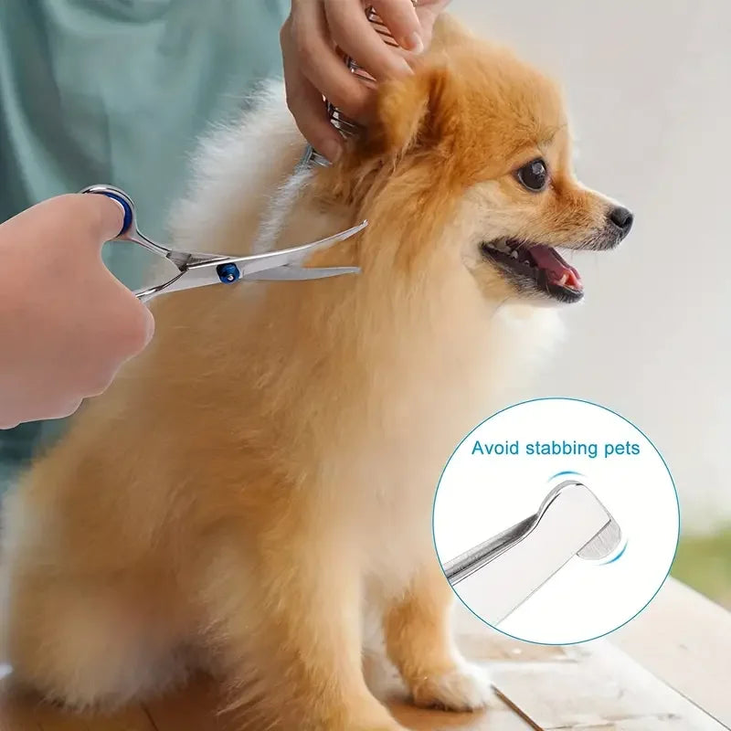 Forbici Professionali per Toelettatura Cani e Gatti ✂️🐶🐱