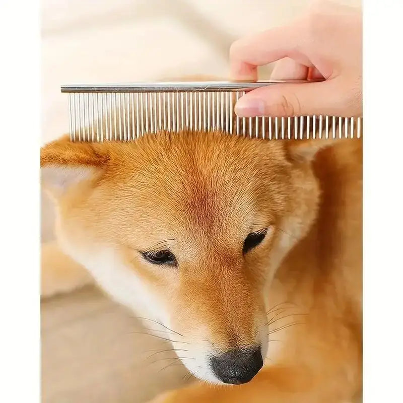 Forbici Professionali per Toelettatura Cani e Gatti ✂️🐶🐱