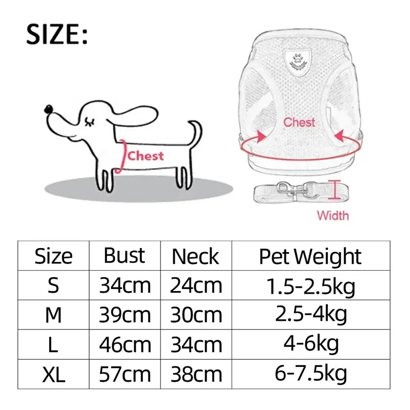 Pettorina Comfort Traspirante per Gatti con Guinzaglio Incluso 🐱✨