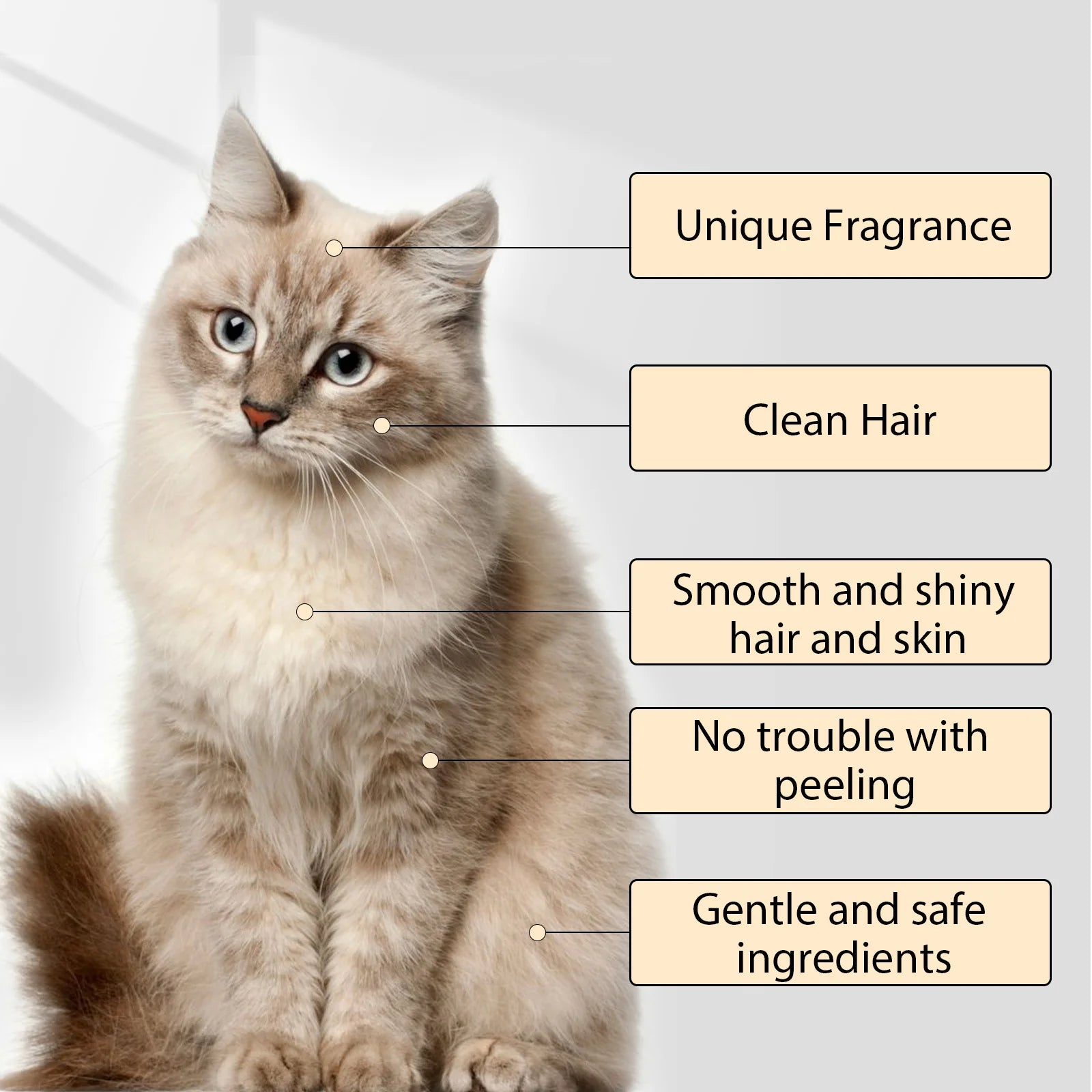 Shampoo Delicato per Cani e Gatti – Pelo Morbido, Pulizia Profonda e Profumo Fresco 🐶🐱🛁