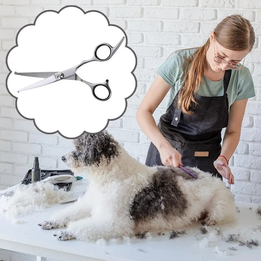 Forbici in Acciaio per Toelettatura Animali – Zampe, Orecchie e Rifinitura ✂️
