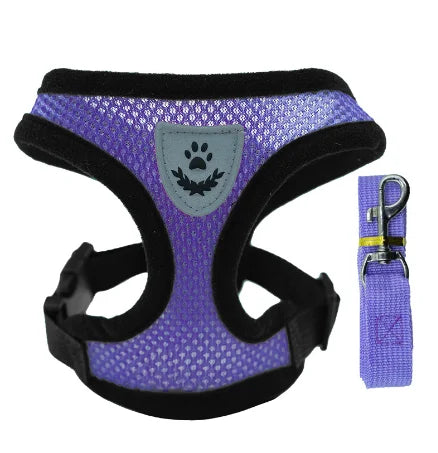 Pettorina Comfort Traspirante per Gatti con Guinzaglio Incluso 🐱✨