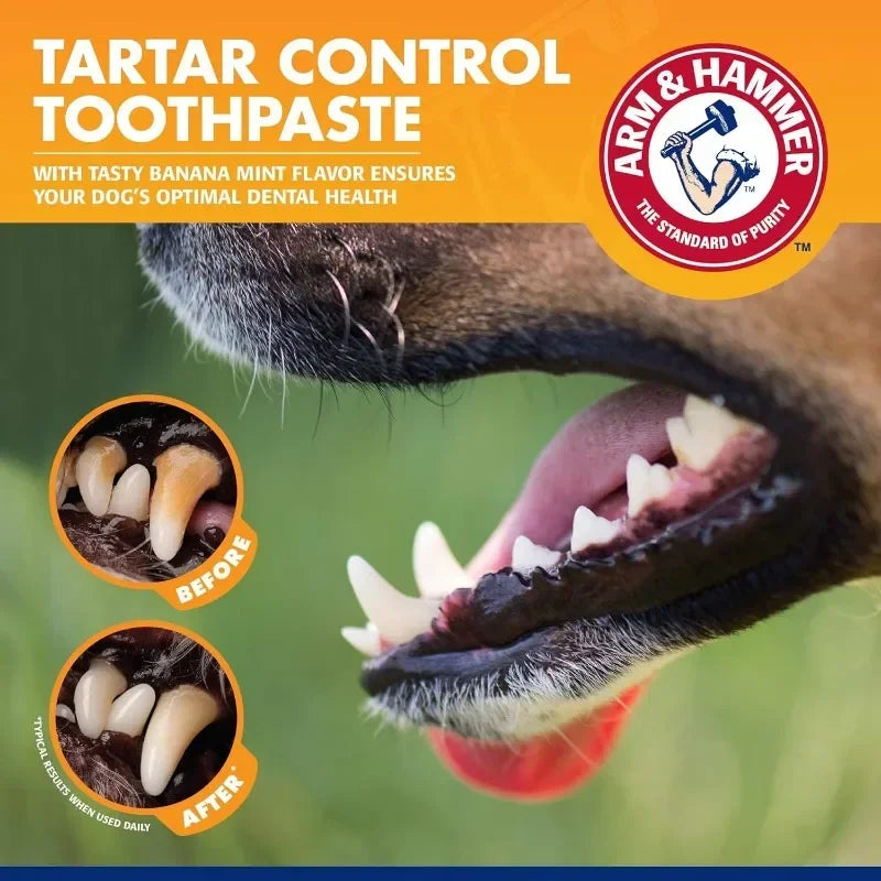 Kit Dentale per Cani e Gatti – Spazzolino e Dentifricio Antitartaro 🐶🐱