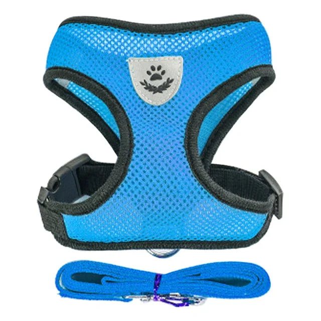 Pettorina Comfort Traspirante per Gatti con Guinzaglio Incluso 🐱✨