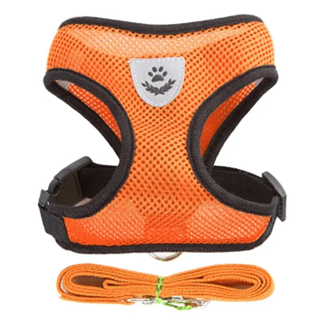 Pettorina Comfort Traspirante per Gatti con Guinzaglio Incluso 🐱✨