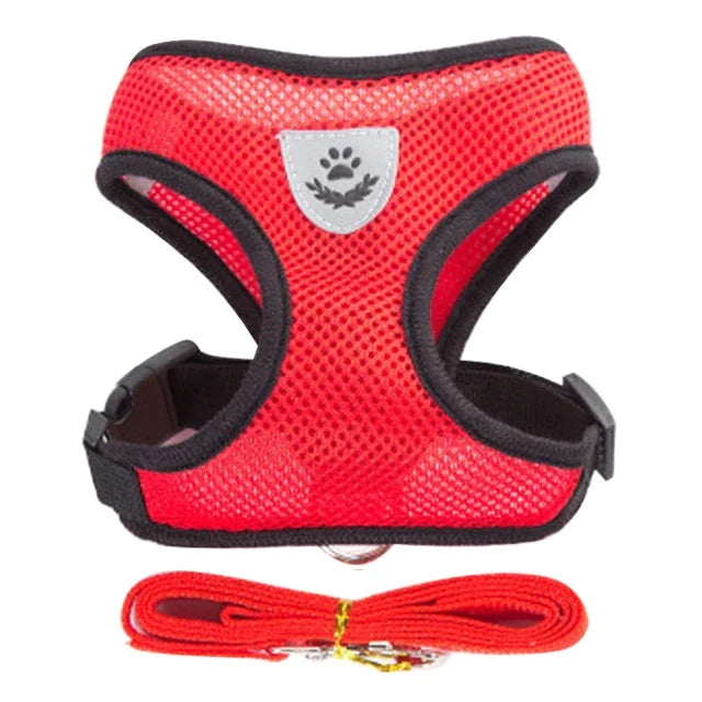 Pettorina Comfort Traspirante per Gatti con Guinzaglio Incluso 🐱✨