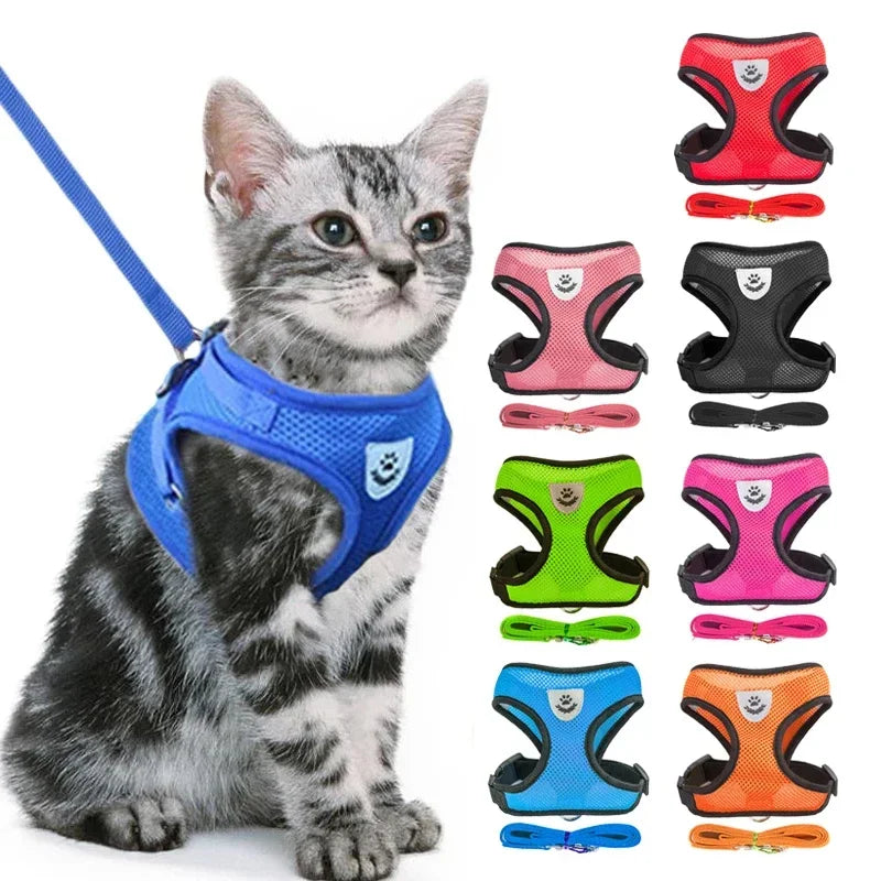Pettorina Comfort Traspirante per Gatti con Guinzaglio Incluso 🐱✨