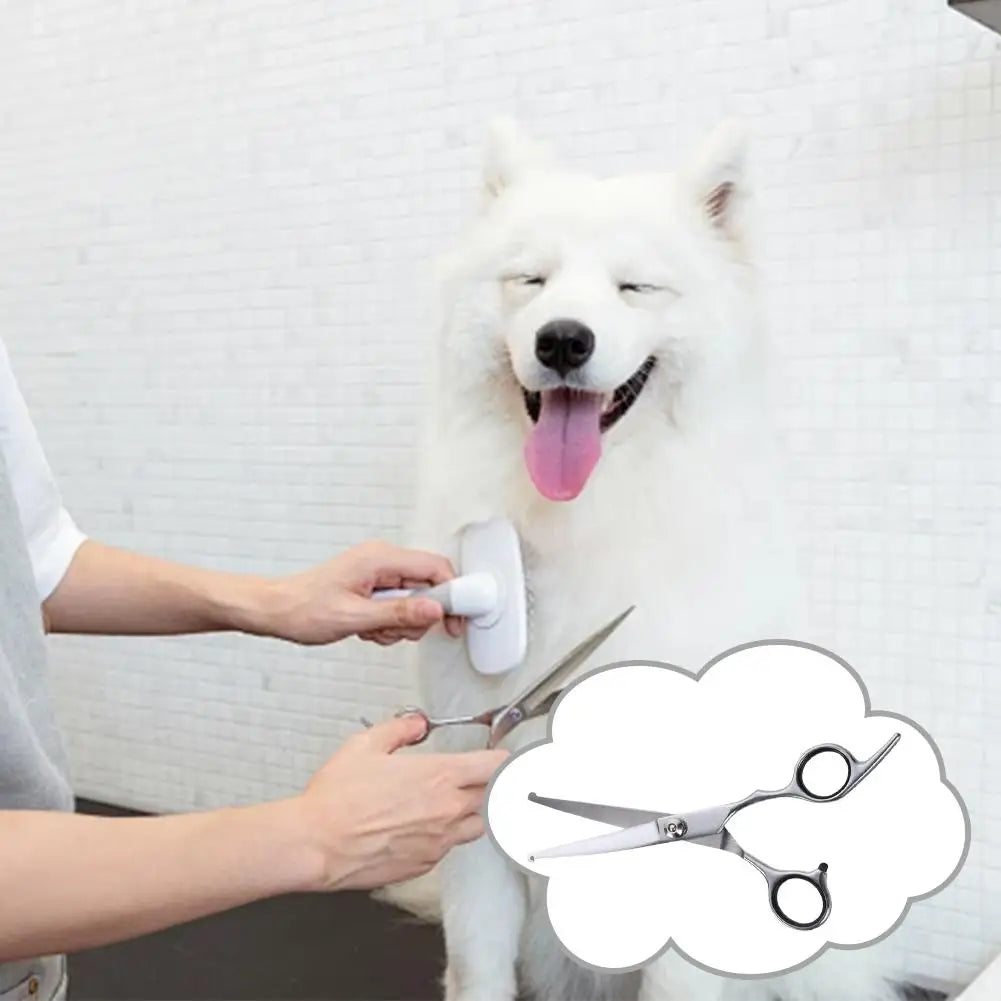 Forbici in Acciaio per Toelettatura Animali – Zampe, Orecchie e Rifinitura ✂️