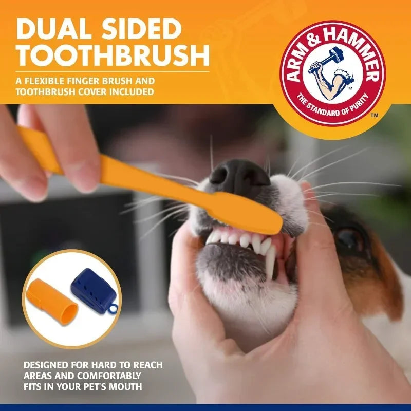 Kit Dentale per Cani e Gatti – Spazzolino e Dentifricio Antitartaro 🐶🐱