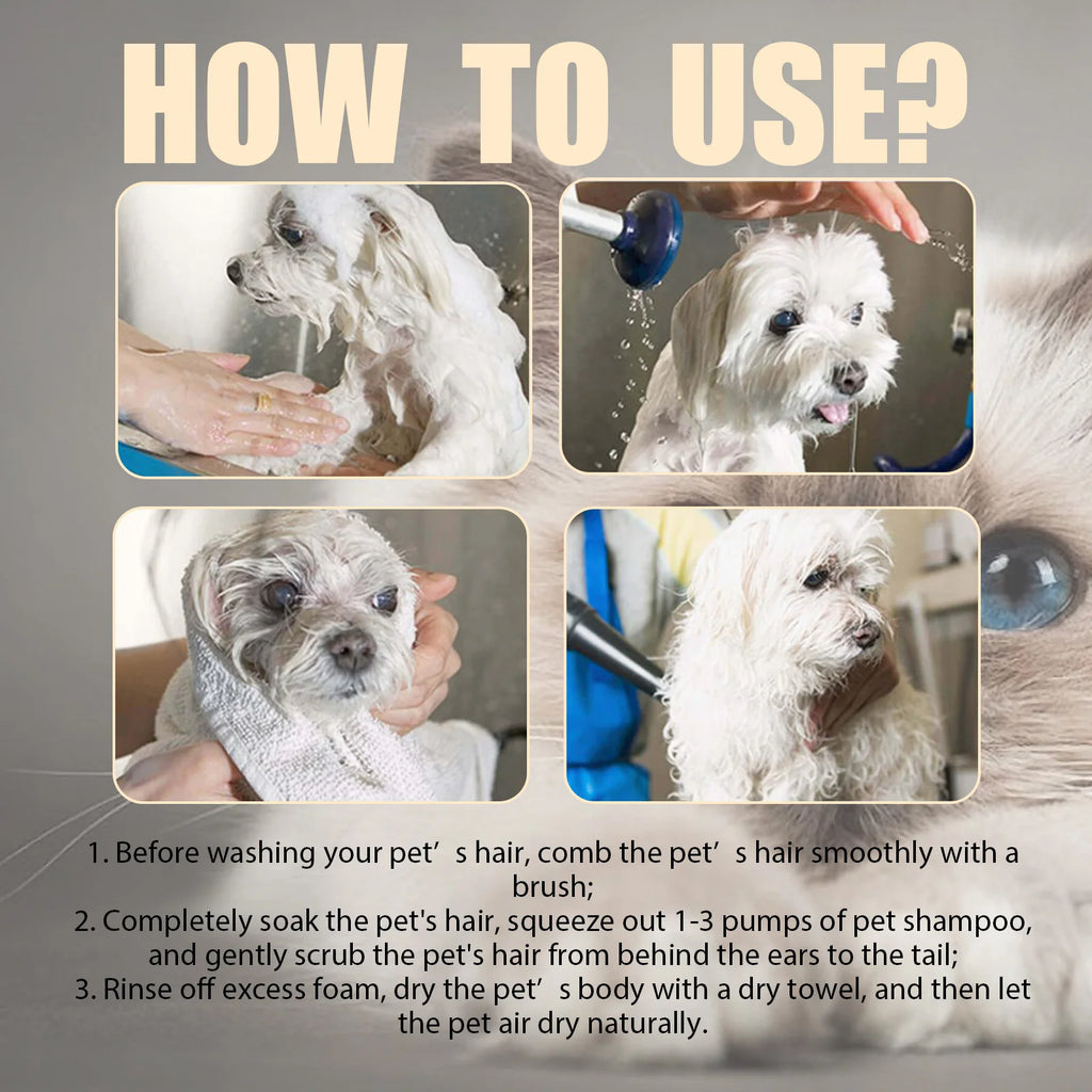 Shampoo Delicato per Cani e Gatti – Pelo Morbido, Pulizia Profonda e Profumo Fresco 🐶🐱🛁
