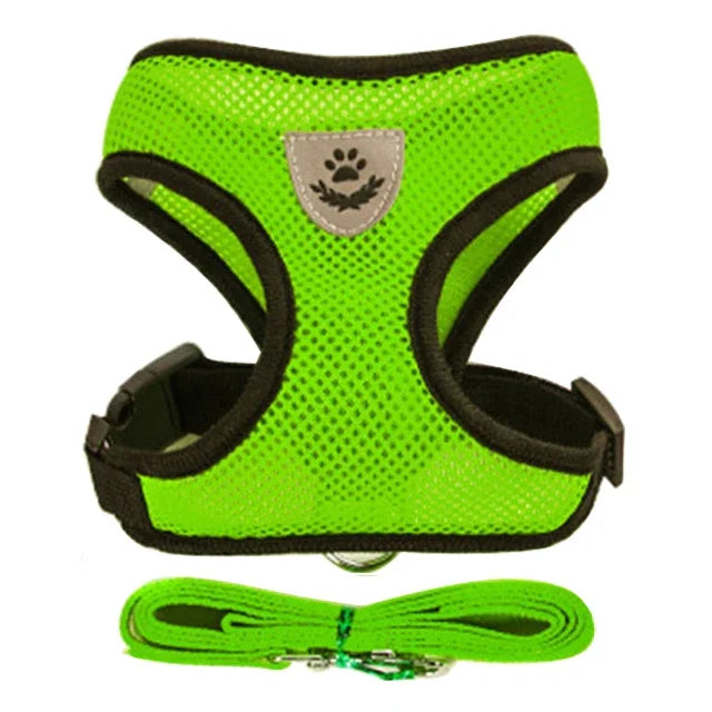 Pettorina Comfort Traspirante per Gatti con Guinzaglio Incluso 🐱✨