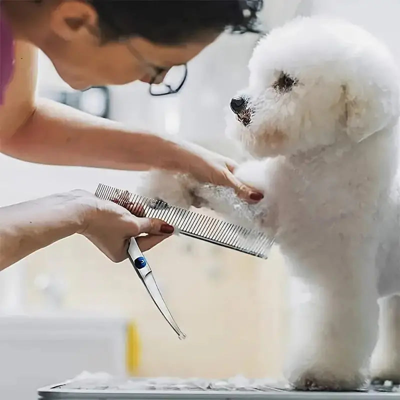 Forbici Professionali per Toelettatura Cani e Gatti ✂️🐶🐱