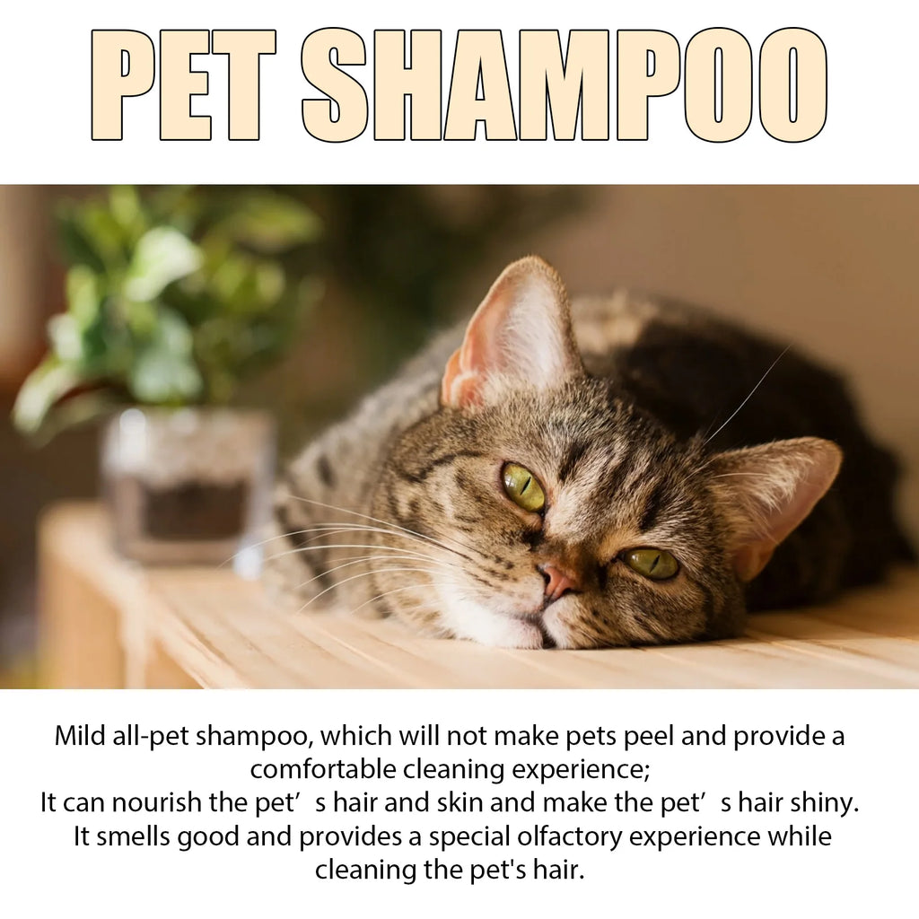 Shampoo Delicato per Cani e Gatti – Pelo Morbido, Pulizia Profonda e Profumo Fresco 🐶🐱🛁