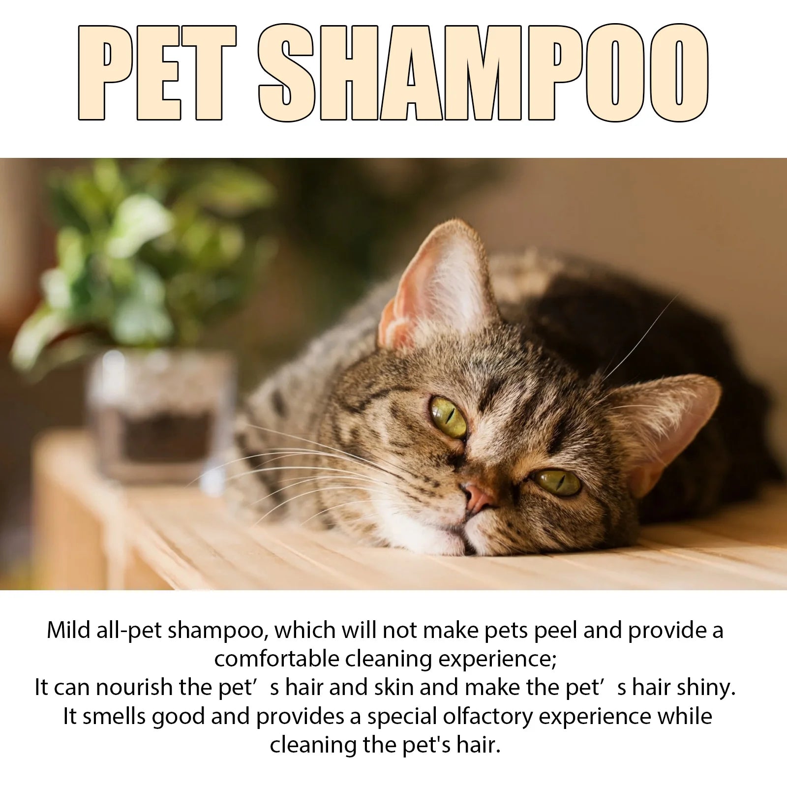 Shampoo Delicato per Cani e Gatti – Pelo Morbido, Pulizia Profonda e Profumo Fresco 🐶🐱🛁