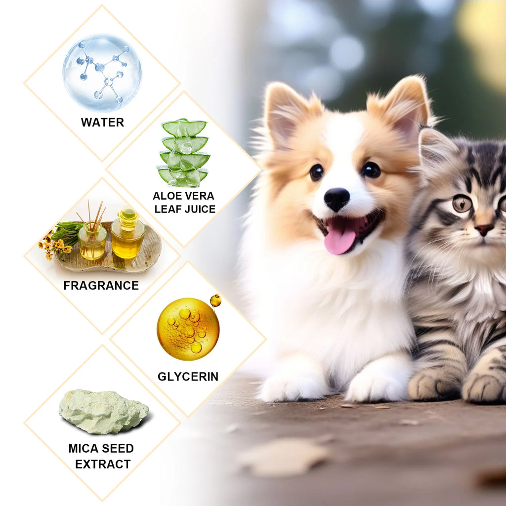 Shampoo Delicato per Cani e Gatti – Pelo Morbido, Pulizia Profonda e Profumo Fresco 🐶🐱🛁